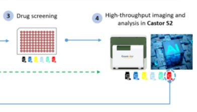 传统类器官培养的挑战及解决方案