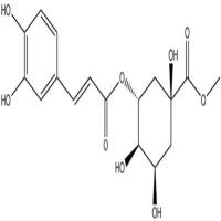 绿原酸甲酯123483-19-2