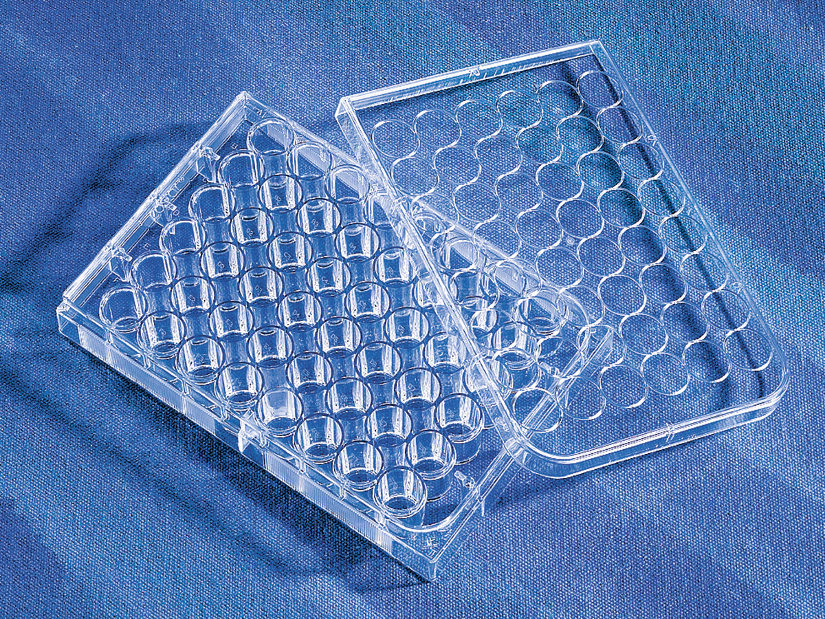 Costar® 48孔透明经TC处理多孔板，独立包装，无菌