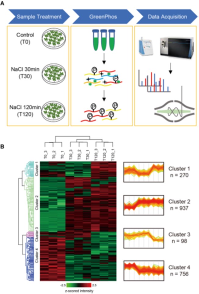 农业新质生产力从生物育种开始
