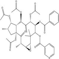 甘遂萜酯E672945-84-5