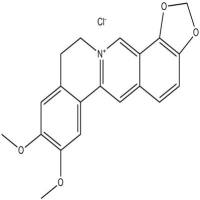 盐酸表小檗碱889665-86-5