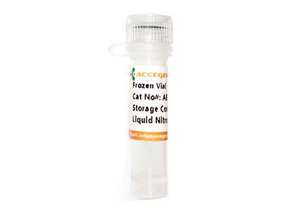 AcceGen Frozen Cells & Cell Lines 1 vial