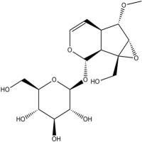 6-0-甲基梓醇1617-84-1
