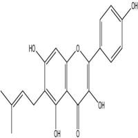 甘草黄酮醇60197-60-6