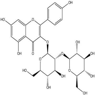 山柰酚-3-O-β-D-槐糖苷19895-95-5