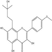 巫山淫羊藿素521-45-9