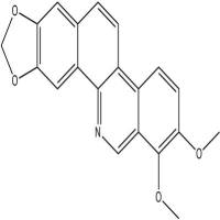去甲白屈菜红碱6900-99-8