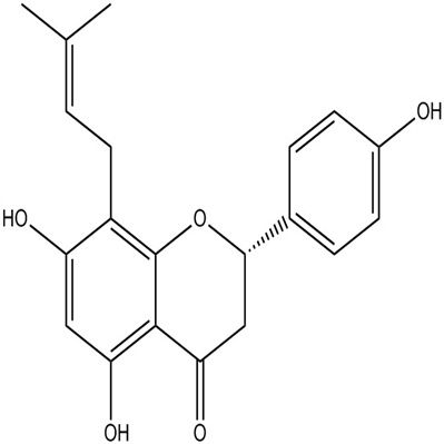 8-异戊烯基柚皮素53846-50-7