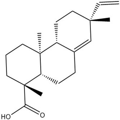 长白楤木酸19889-23-7