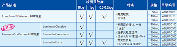 产品细节图片2