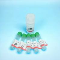 BIOTIN-小鼠抗人IgM