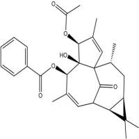 甘遂大戟萜酯C133898-77-8
