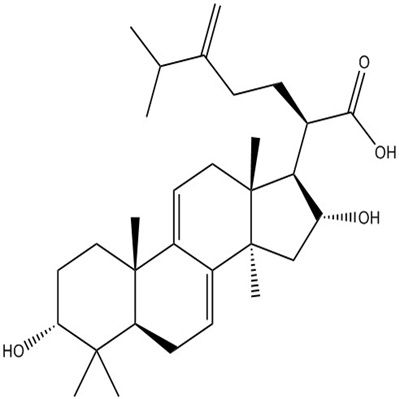 3-表去氢土莫酸167775-54-4
