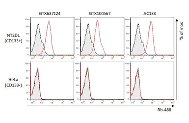CD133 antibody [HL1631]