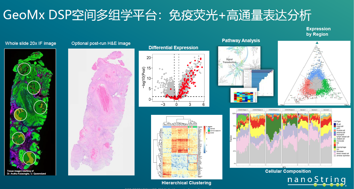 乐备实DSP空间多组学外包服务，实验外包，原位RNA和蛋白质