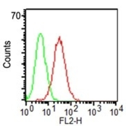 CD34 antibody [ICO-115]