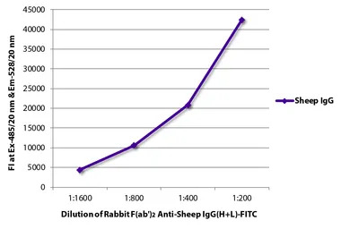 Rabbit Anti-Sheep IgG antibody