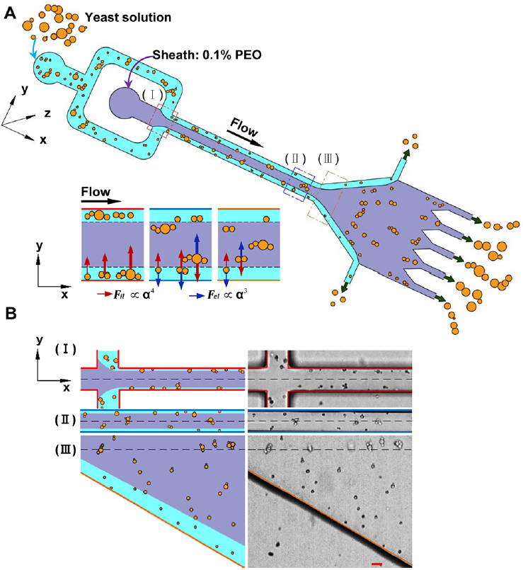 小型台式无掩膜直写光刻系统- MicroWriter ML3