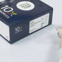 10x Genomics Visium空间转录组测序