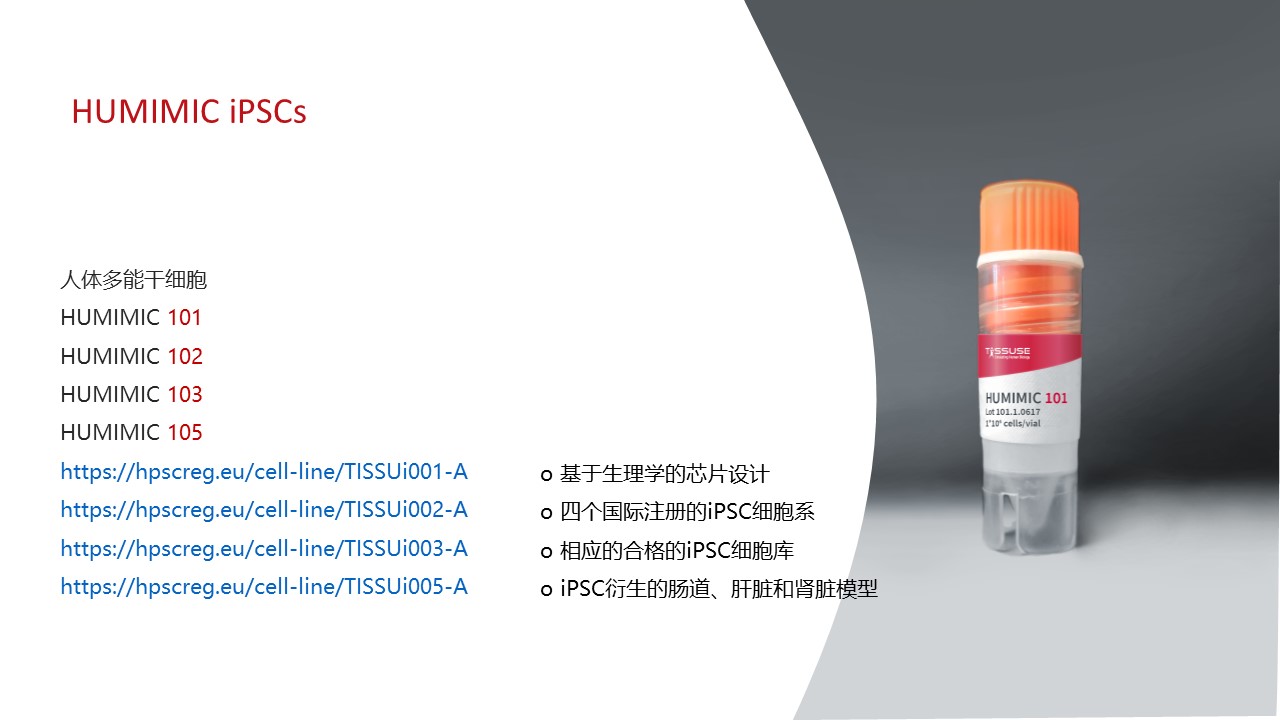 多类器官串联芯片培养技术