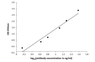 L-DOPA antibody