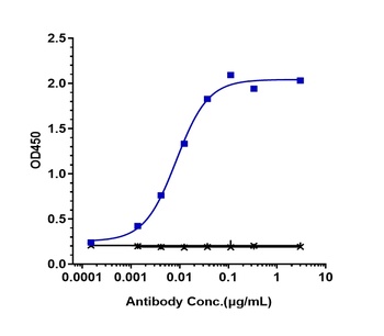 Anti-TNFRSF13C / BAFFR / CD268