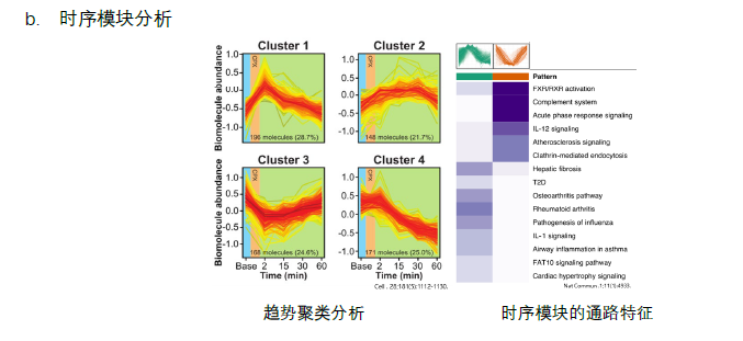 部分数据分析结果展示