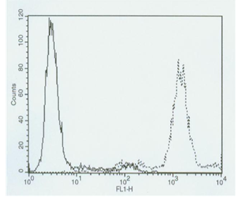 中性粒细胞呼吸爆发检测试剂盒