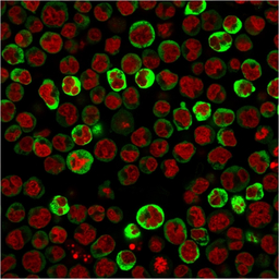 产品细节图片11