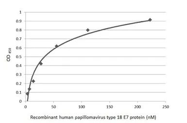Human Papillomavirus type 18 E
