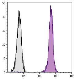 Mouse Anti-Rat IgG2b antibody 