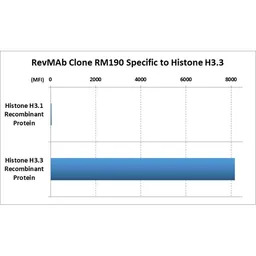 Histone H3.3 antibody [RM190]