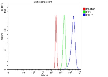 Plasmolipin/PLLP Antibody 抗体，o