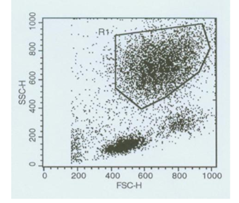 中性粒细胞呼吸爆发检测试剂盒