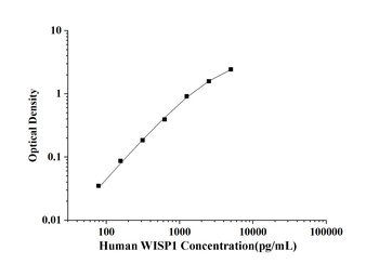 Human WISP1(WNT1 Inducible Sig