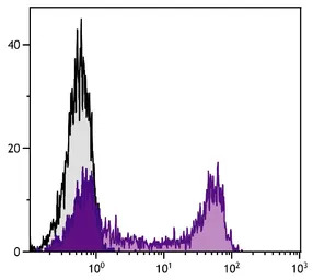 Rat Anti-Mouse IgG2b antibody 