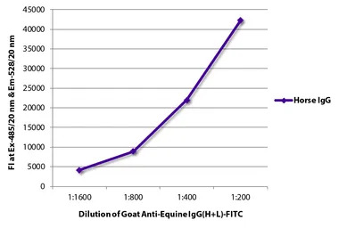 Goat Anti-Horse IgG antibody (