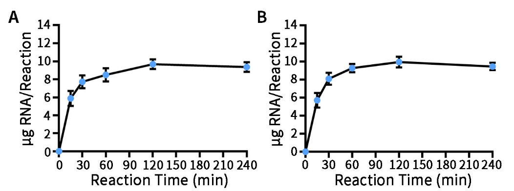 Biotin RNA Labeling Kit (SP6/T