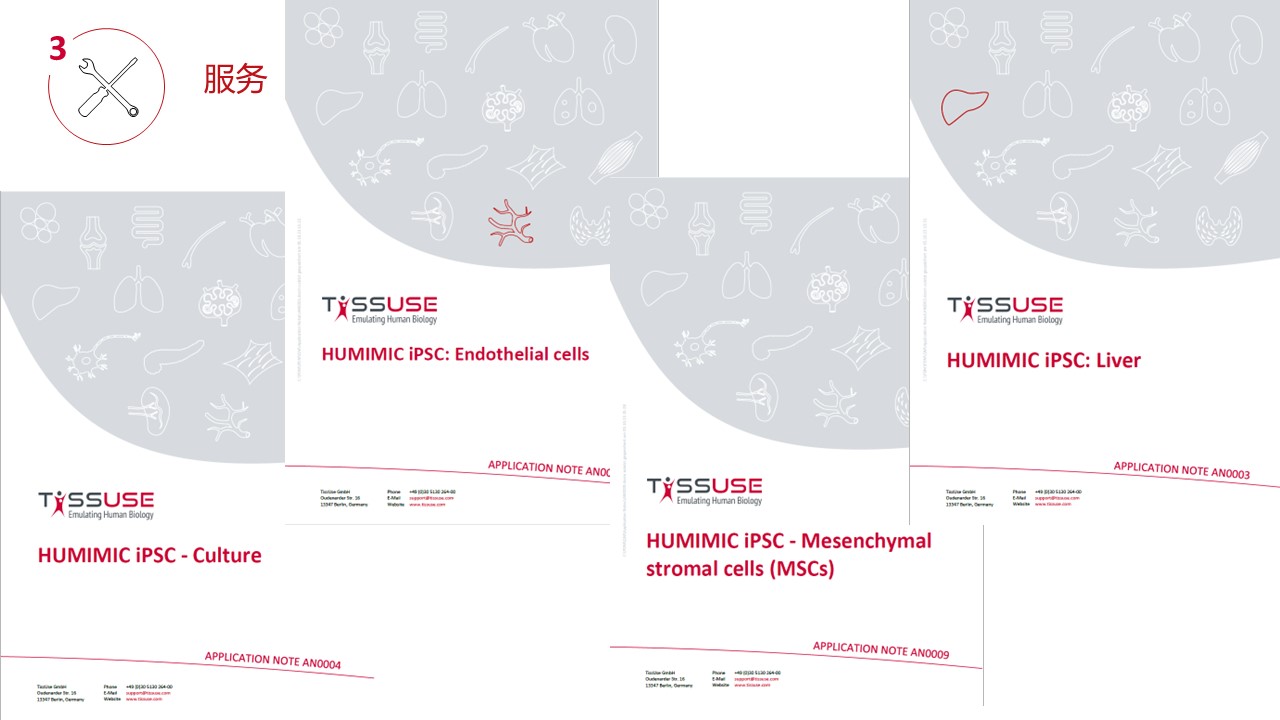 多类器官串联芯片培养技术