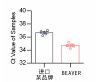 beaver1672277809.2680806.png 产品细节图片2