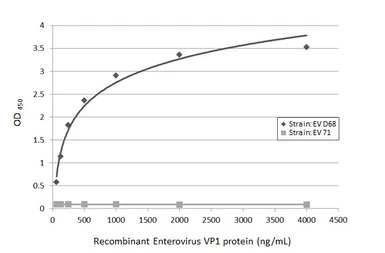 Enterovirus D68 VP1 antibody [