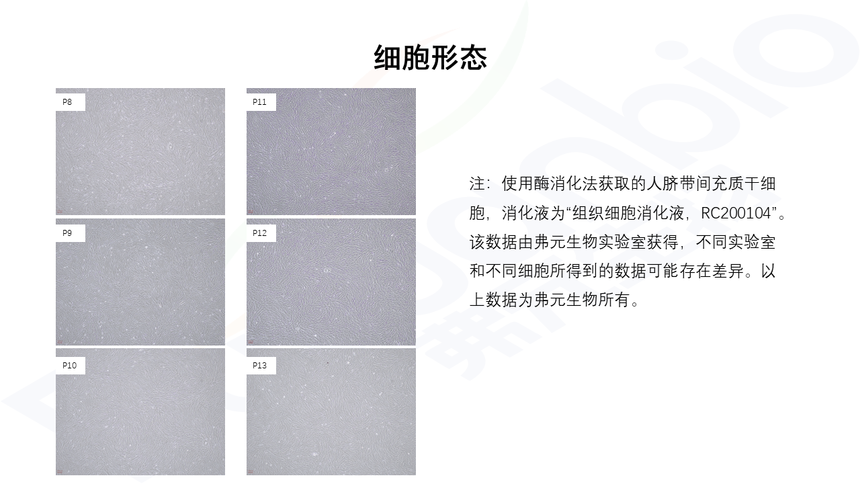 弗元生物Fuyuanbio RC200136.bmp