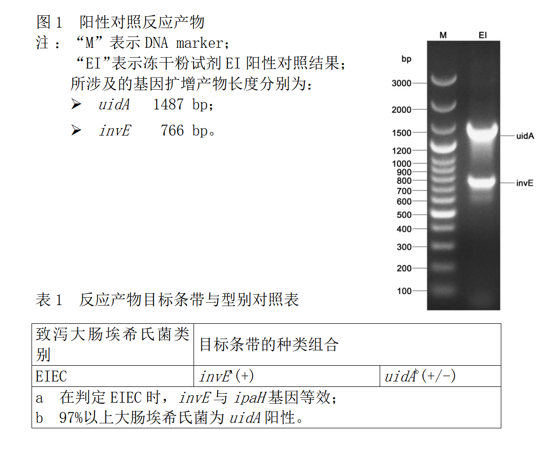EIEC多重PCR检测试剂盒结果判断 EIEC多重PCR检测试剂盒结果判断