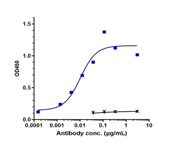 Anti-ERBB1 / EGFR / HER1 Refer