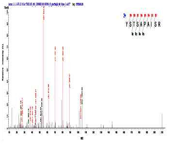 产品细节图片12