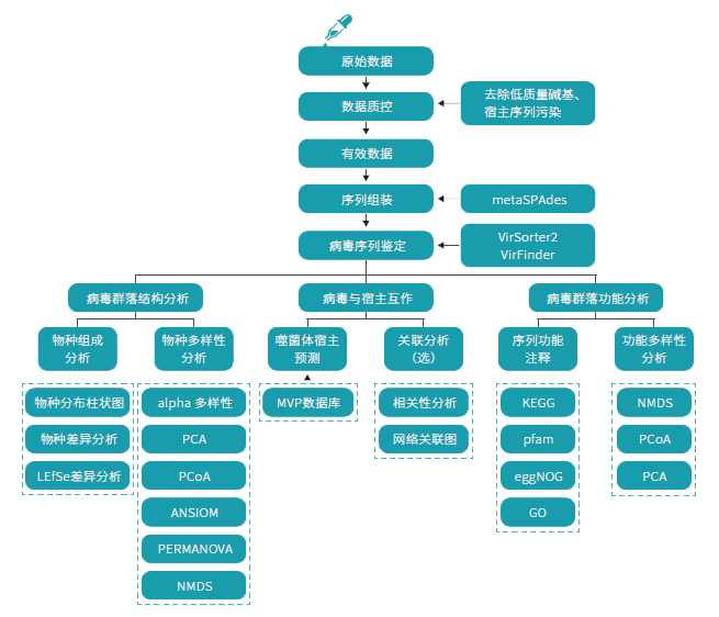 技术路线 技术路线