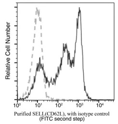CD62L antibody [371]