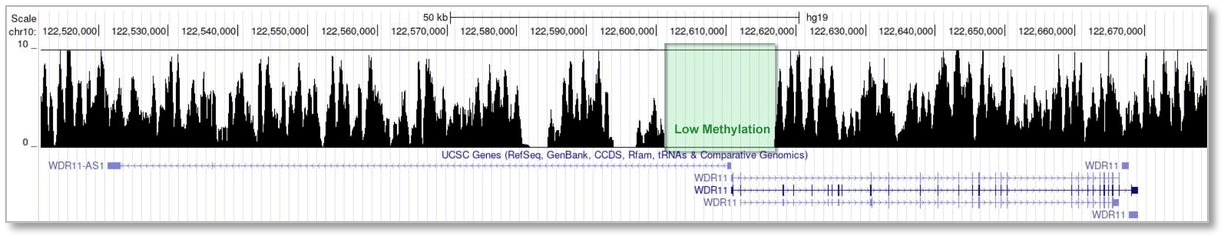 Methylation Specific Bisulfite Seq Library Prep Kit enriches CpG site as compared to WGBS, while RRBS and MeDIP-Seq are more limited. 人类基因组中的低甲基化区域