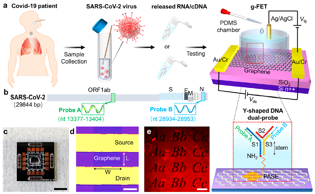 小型台式无掩膜直写光刻系统- MicroWriter ML3